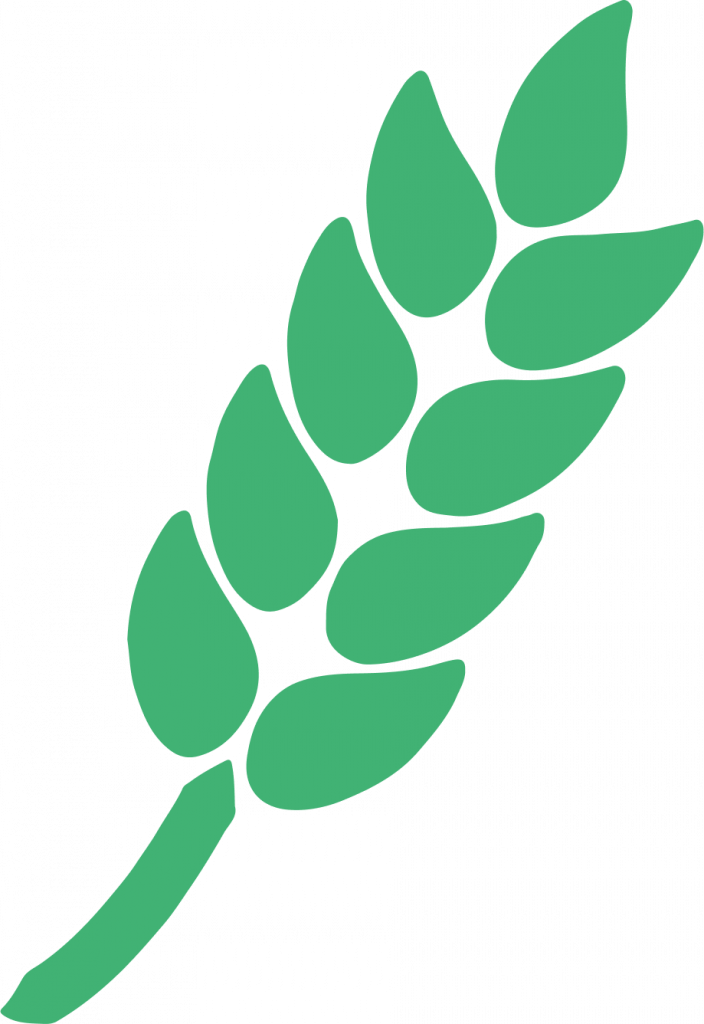 Icône épi symbolisant le classement et la qualité des hébergements Gîtes de France.